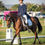 Miniature : Jument de 9 ans - Consul DL VIE Z x Utika de la Coquerie