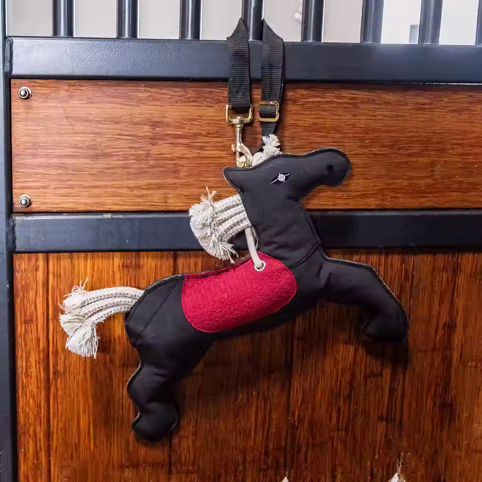 Miniature : Jouet relaxant pour cheval - Kentucky Horsewear