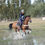 Miniature : Jument de 9 ans - Consul DL VIE Z x Utika de la Coquerie
