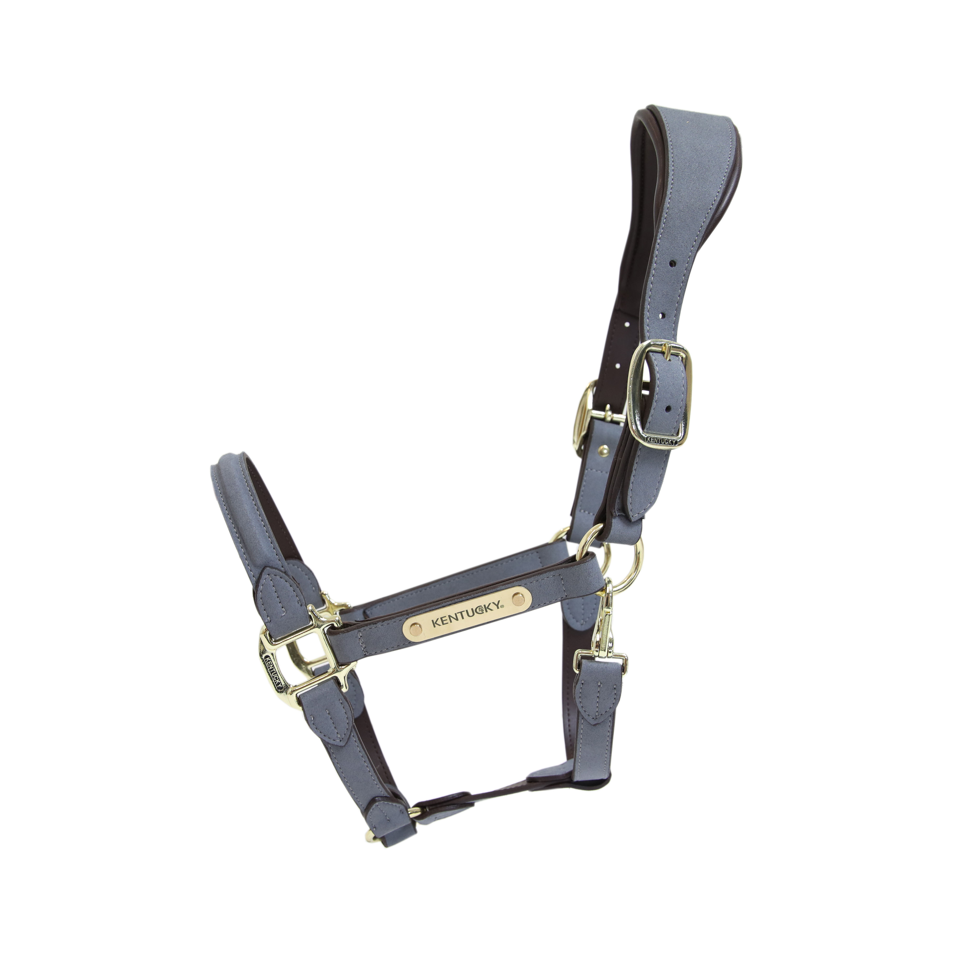 Licol Anatomique en Suédine Gris - Kentucky Horsewear