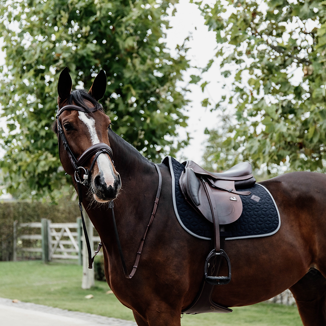 TAPIS DE SELLE SOFTSHELL BLEU KENTUCKY HORSEWEAR