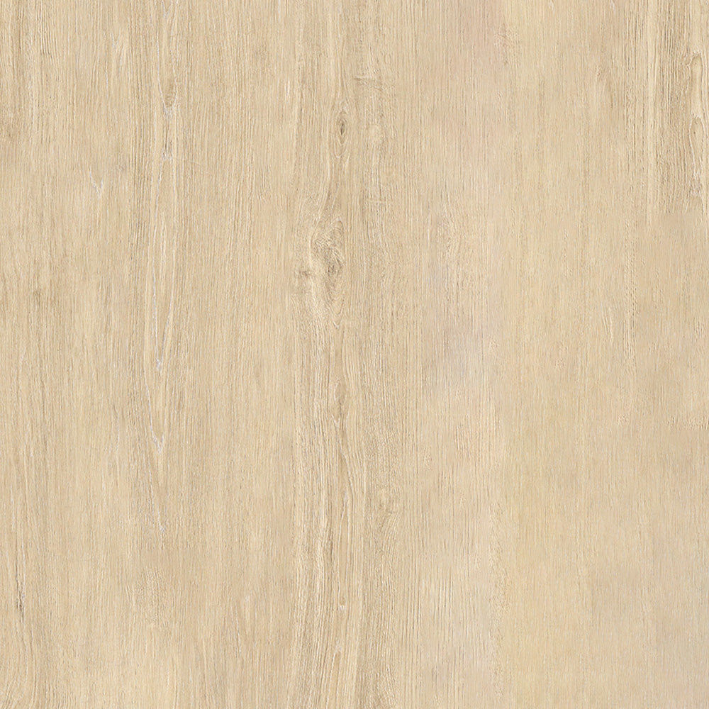 Cool Beige XCC Force