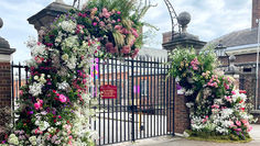 Seasonal flowers in the UK: British Grown flowers for Spring Summer Autumn & Winter