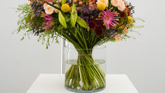 The Benefits of Using Flower Food