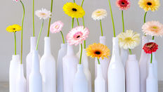Anything but Roses! Featuring Floristry Tips from Su Whale