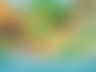 PRZEDSZKOLE DWUJĘZYCZNE I MIĘDZYNARODOWE:PROJEKT GOING ON SAFARI