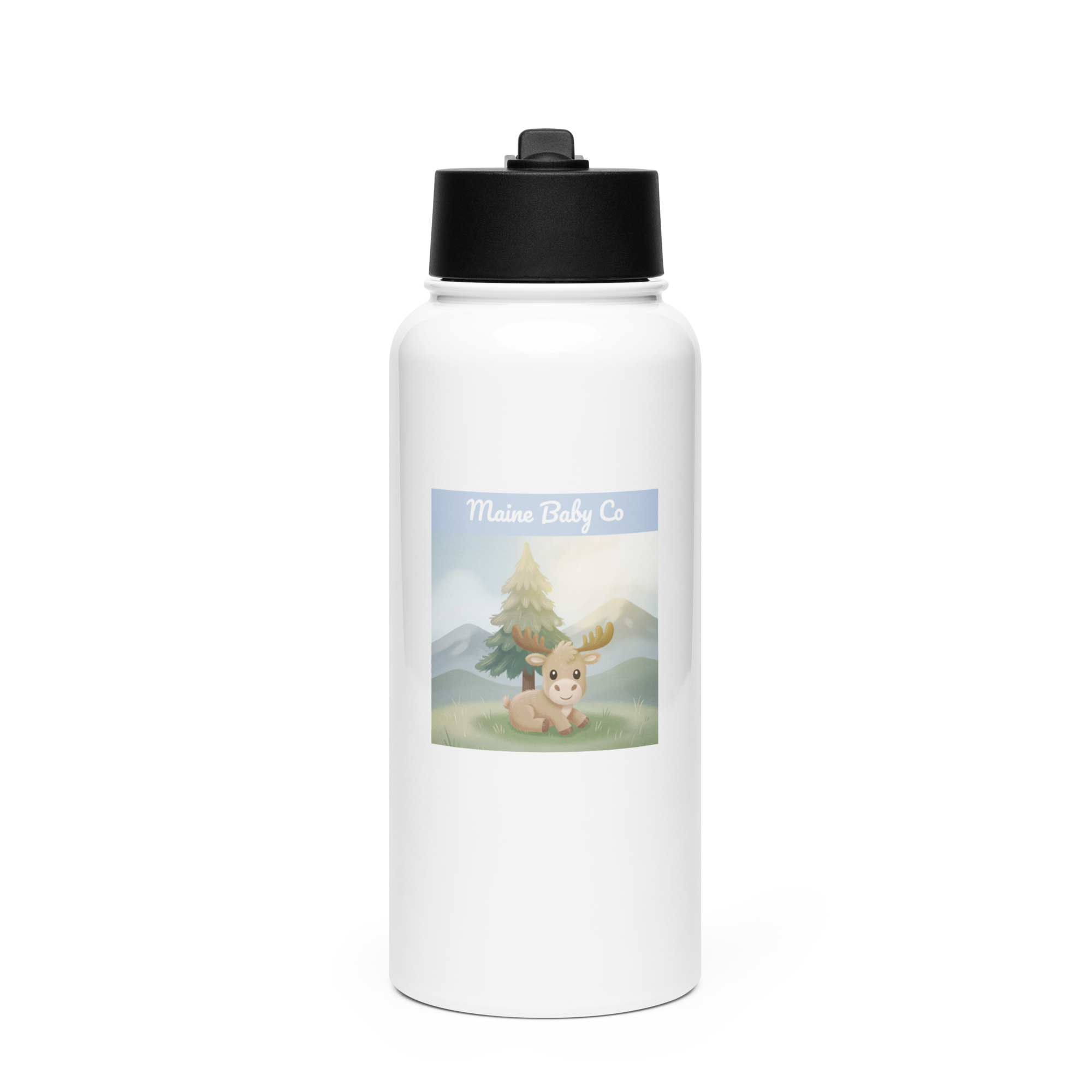 Stainless Steel Water Bottle with a Straw Lid