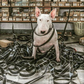 Comment progresser en montage vidéo quand on débute (sans se perdre dans les tutos)