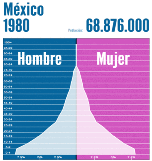 Pirámide poblacional México