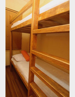 bunkbed2apt2