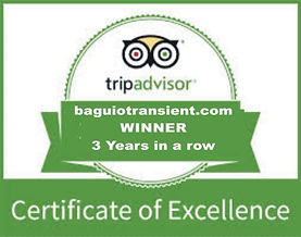 tripadvisor