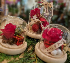 Pleines de poésie et hautes en couleurs, découvrez nos réalisations de fleurs stabilisées, réalisées à la boutique par nos soins.