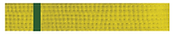 TKD Belt System.png