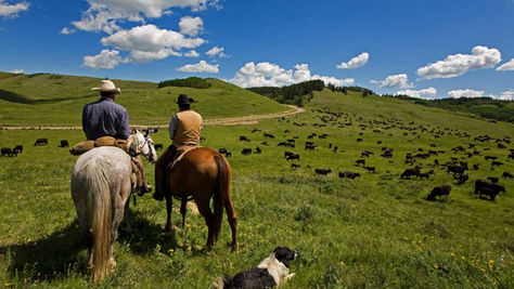 MEDICAID EXPANSION: MONTANA CASE STUDY