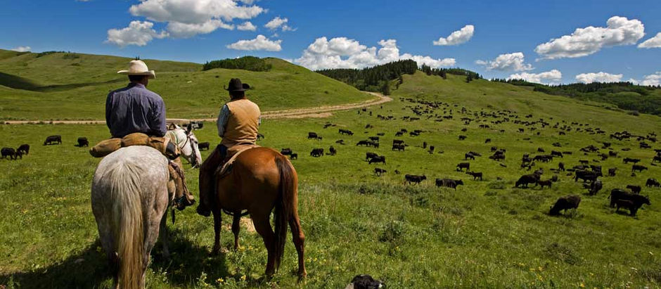 Are we Being "Planned" Off our BLM Lands?