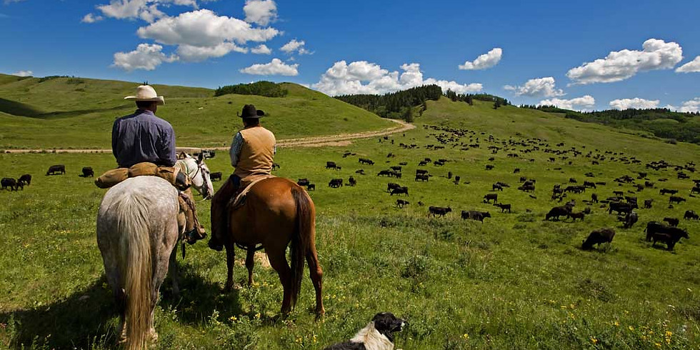 Richmond River Beef Producers Monthly General Meeting