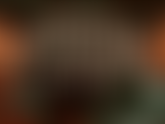 Premjeras ir partneriai: G. Palucko verslą maitino nematoma ranka