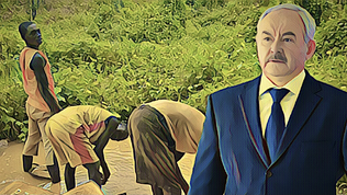 Zimbabkės. Pandora Papers tyrimas