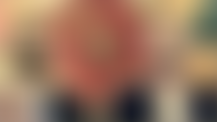 VRM parengė vadinamąjį „Abramovičiaus įstatymą“