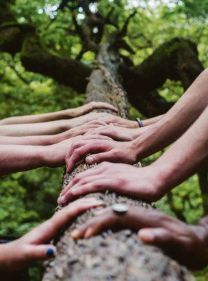 Para empresas: 10 habilidades para liderar en el nuevo mundo
