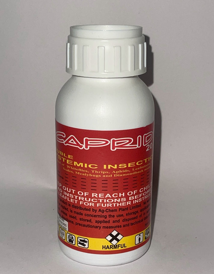 Caprid