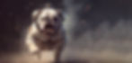AdobeStock_718921865.jpeg