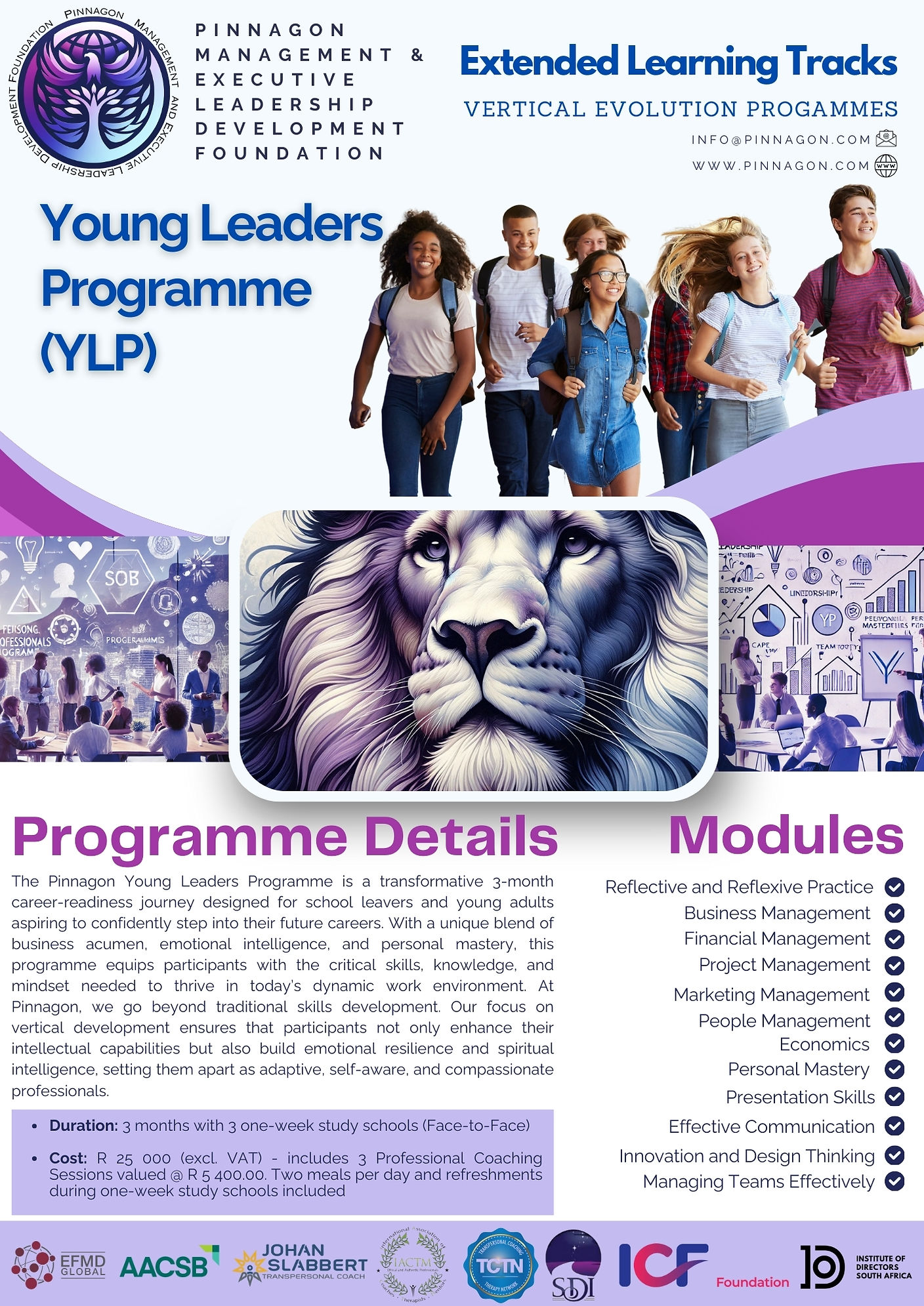 Pinnagon YLP Program.jpg