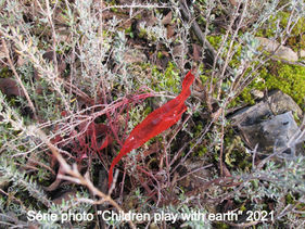 Série photo "Children play with earth"