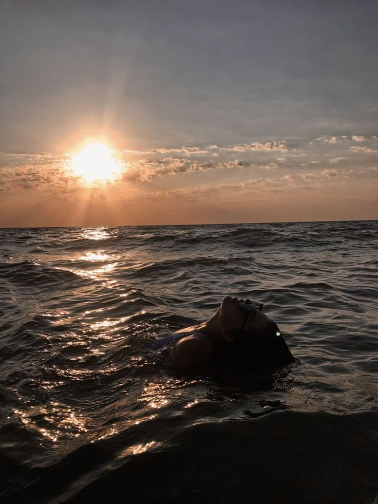 Ζωή σημαίνει συνδέομαι