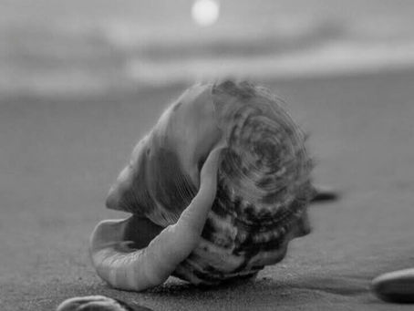 Το μόνο που είχαμε ήταν ο ένας τον άλλο