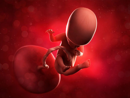 Ομφάλιος Λώρος – Τι είναι, τι κρύβει και τι υπόσχεται;