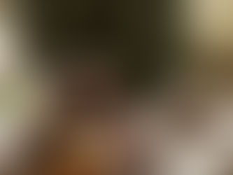 Αφήστε τη ζωή σας να ανθίσει