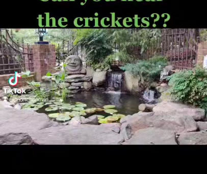 Can you hear the crickets? (Sound of water falling from a garden fountain and crickets chirping)