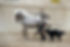 celinerieck_CRI_0666-20190607_KatrineThygesenBuur_20190607_KatrineThygesenBuur_final_web M