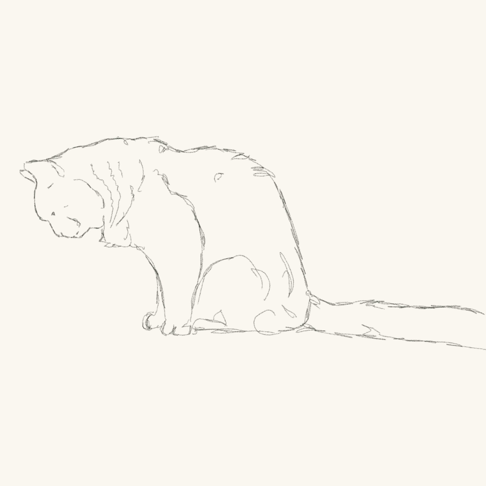 Cat Gif Animation Maya Rampel