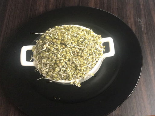 How to sprout Green Gram or Mung/Moong Bean in 3 days without using cloth or any special apparatus