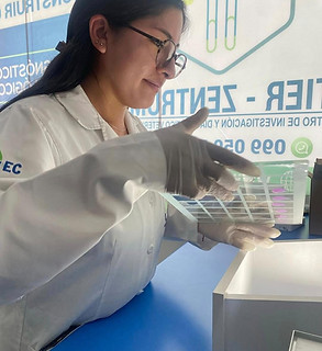 WhatsApp Image 2025-11-14 at 11.25.36.jpeg