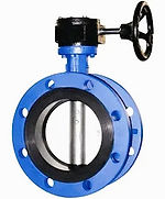 Double Flange Butterfly Valve_edited.jpg