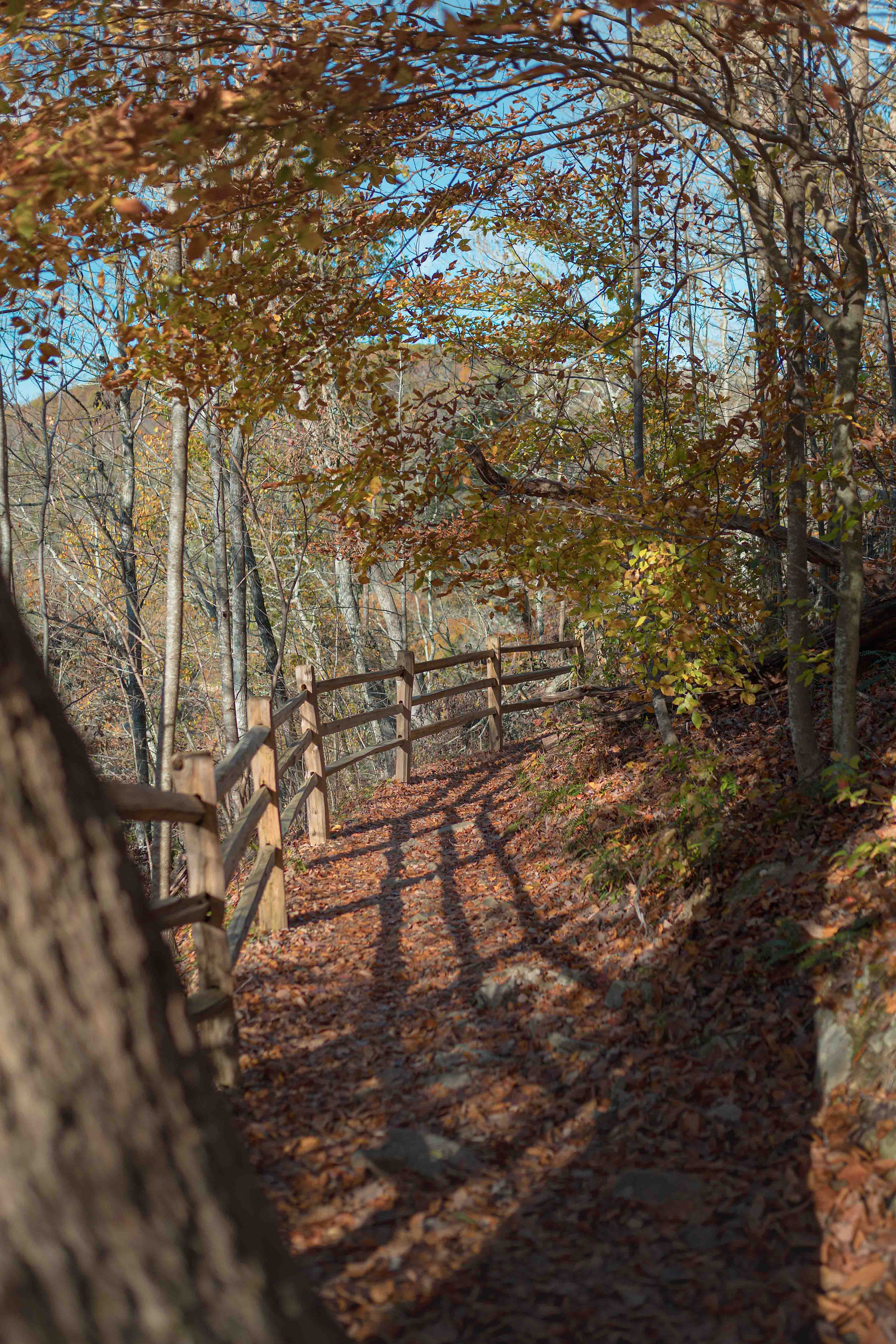 Landscape shot taken with Sigma 35mm f1.4 - photo taken by Jacob Stillwell