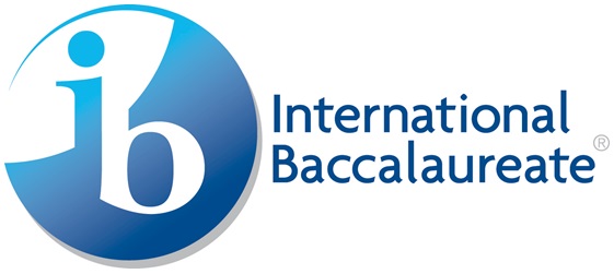 Image result for ib program
