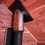 Thumbnail: Acadia