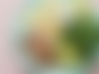 ¿CÓMO EMPEZAR KETO?