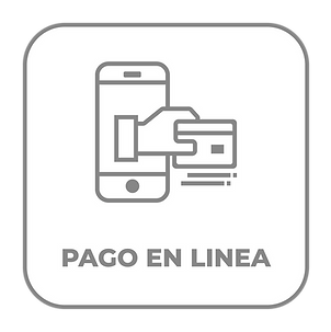Pago en linea Oapas de Naucalpan