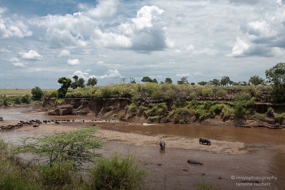 mara river crossing