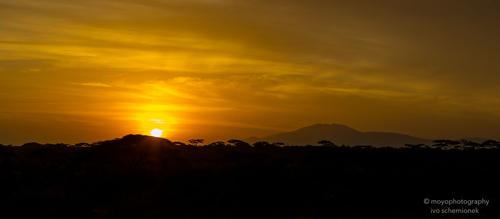 golden sunrise - serengeti -tanzania
