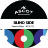 Blind Side Bitter Session Ordinary.jpeg
