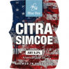 Citra Simcoe Pale Ale American.jpeg