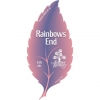 Rainbows End Pale Ale American.jpeg