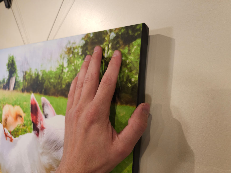 Pet Portait - Hand Made Custom Museum Wrapped Canvas + Wood Frame