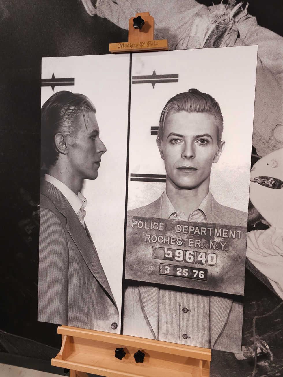 Bowie - Hand Made Museum Wrapped Canvas and Wood Frame